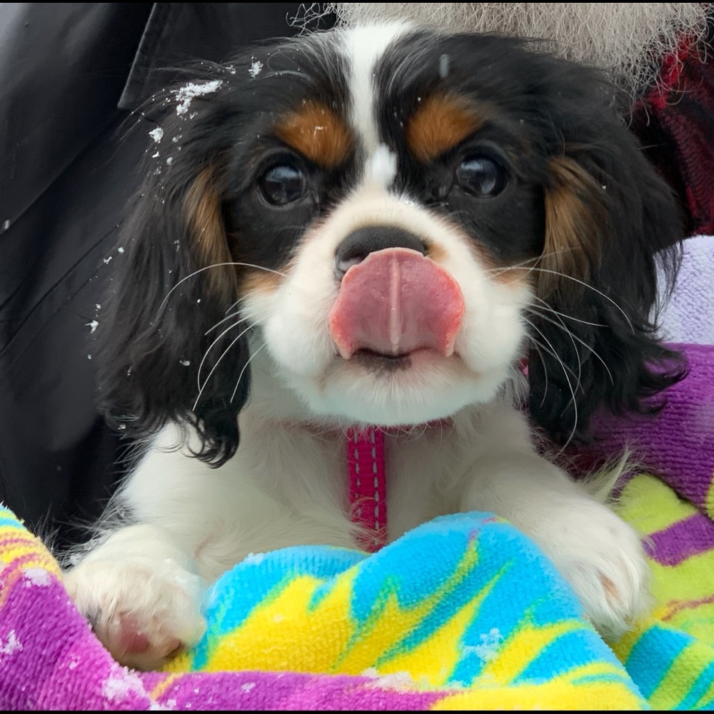 Meet your Posher, Marolyn